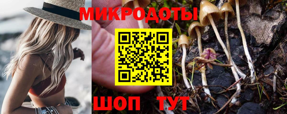 Галлюциногенные грибы GOLDEN TEACHER  Вход с VPN  Мценск 